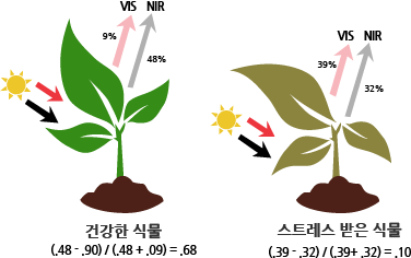 식물의 건강상태별 파장별 계산식
